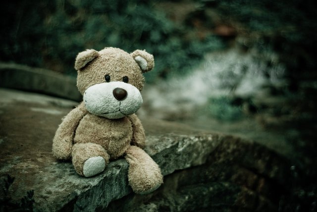 teddy-bear-1835598_1920 (1).jpg